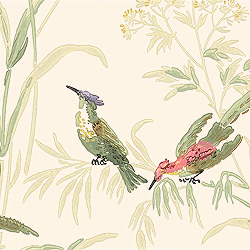 Thibaut Augustine Hummingbird wallpaper