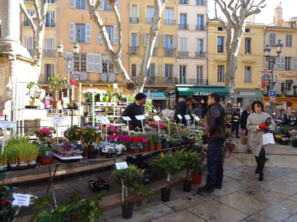 Aix en Provence flower market