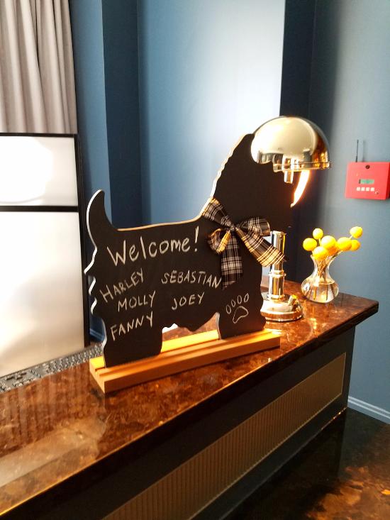 the-kimpton-cardinal-hotel-dog-welcome