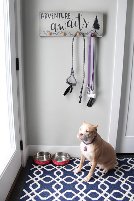 Pet Friendly Entryway